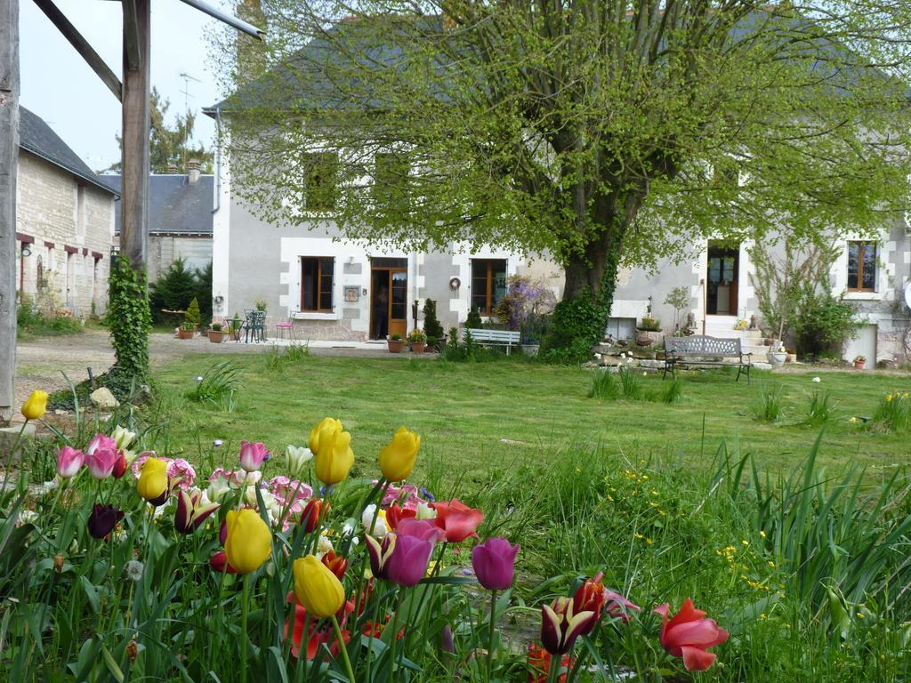 Bed and Breakfast La Cle Des Jardins Nouatre Экстерьер фото