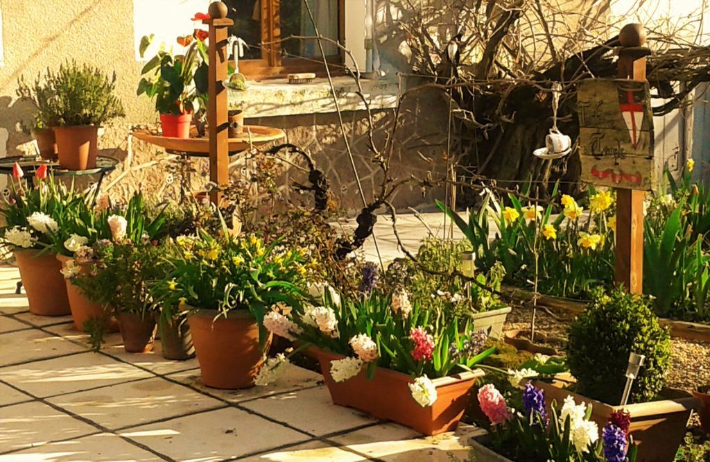 Bed and Breakfast La Cle Des Jardins Nouatre Экстерьер фото